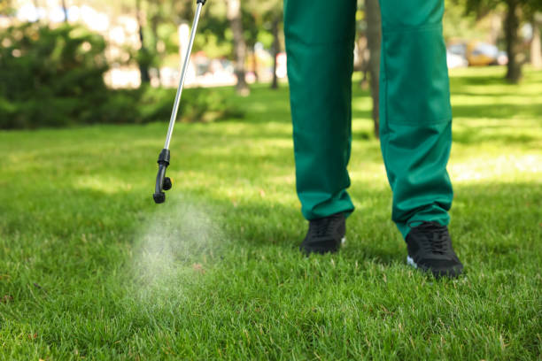 Best Local Pest Control Services  in Glendora, NJ
